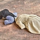 36 38 Walter Benesch 002